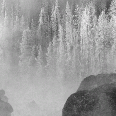 Dead Crown (FRA) : Dead Crown